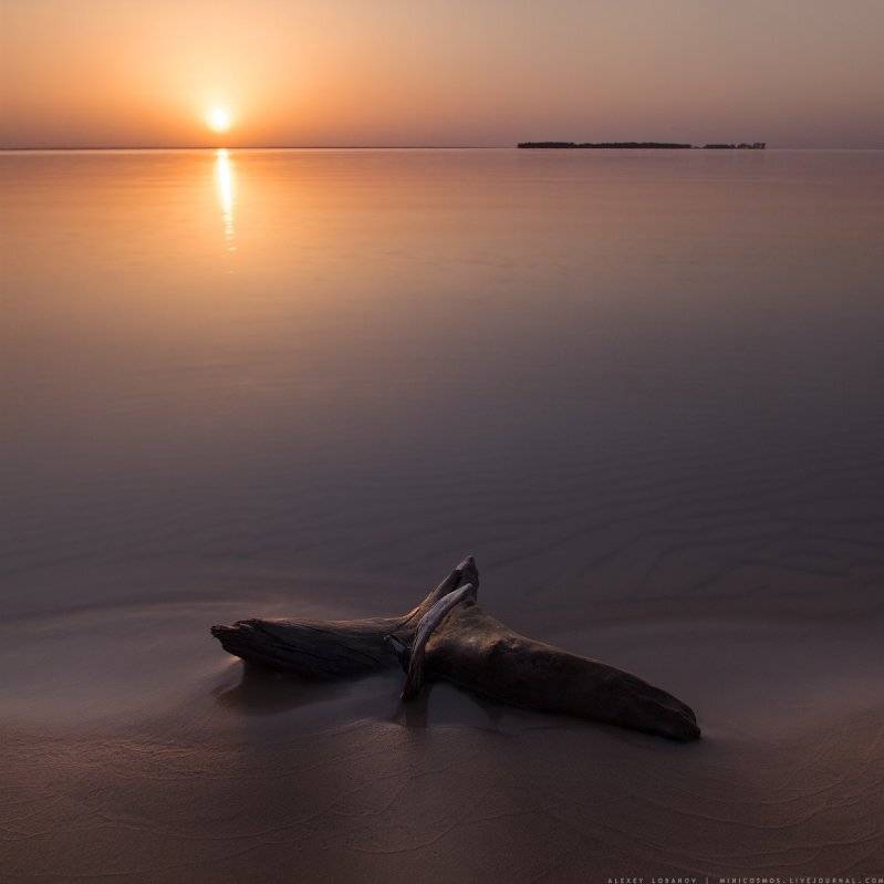Рыбинское, Ярославская область, Алексей Лобанов