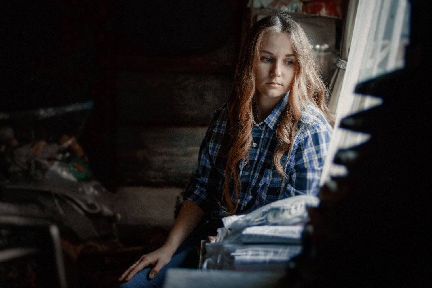 , Владимир Осауленко