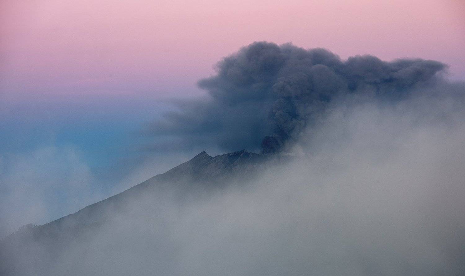 , Виктория Роготнева