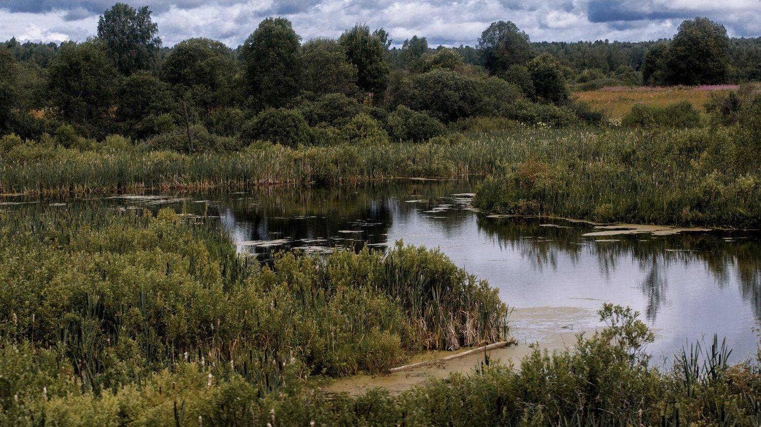 , Владимир Осауленко