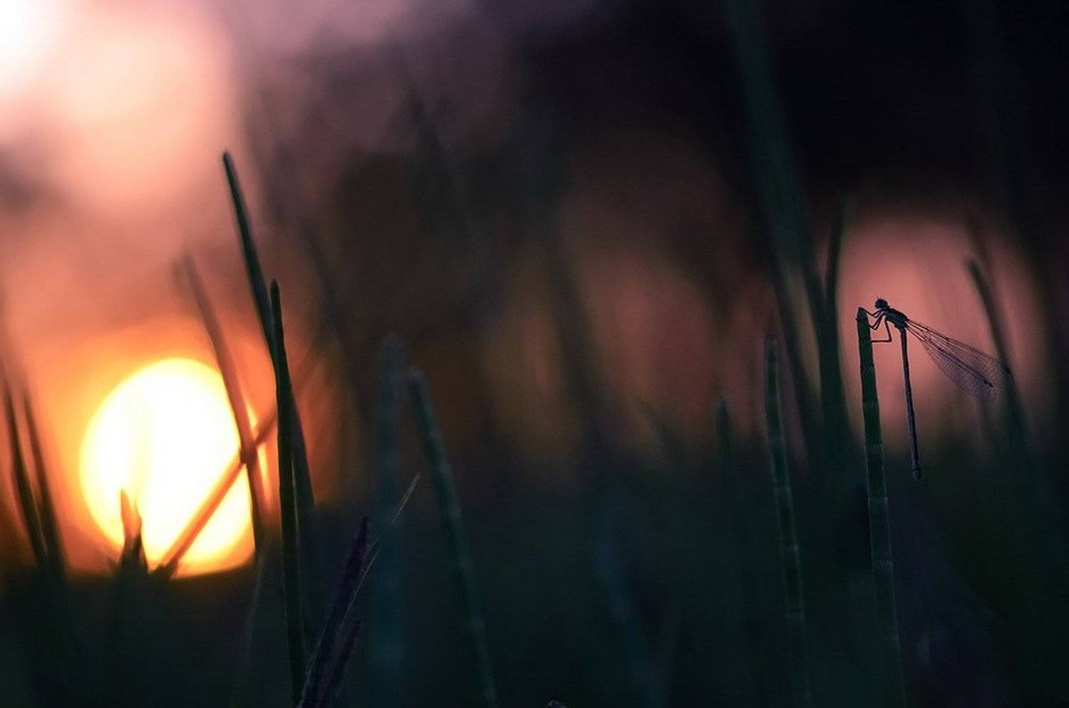 , Вячеслав Мищенко