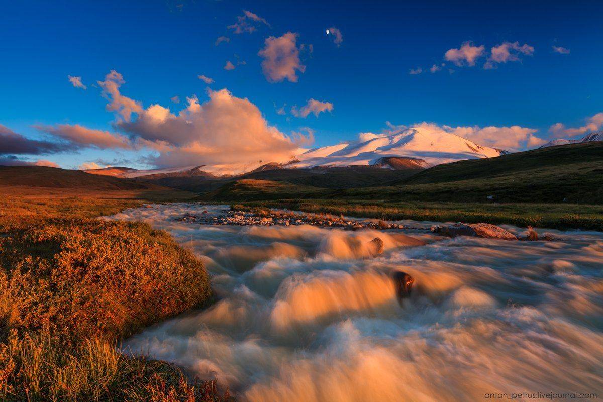 , Антон Петрусь