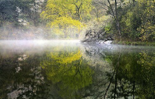 Spring in a small pond