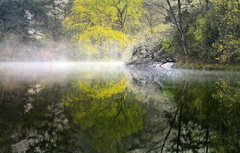 Spring in a small pond фото превью