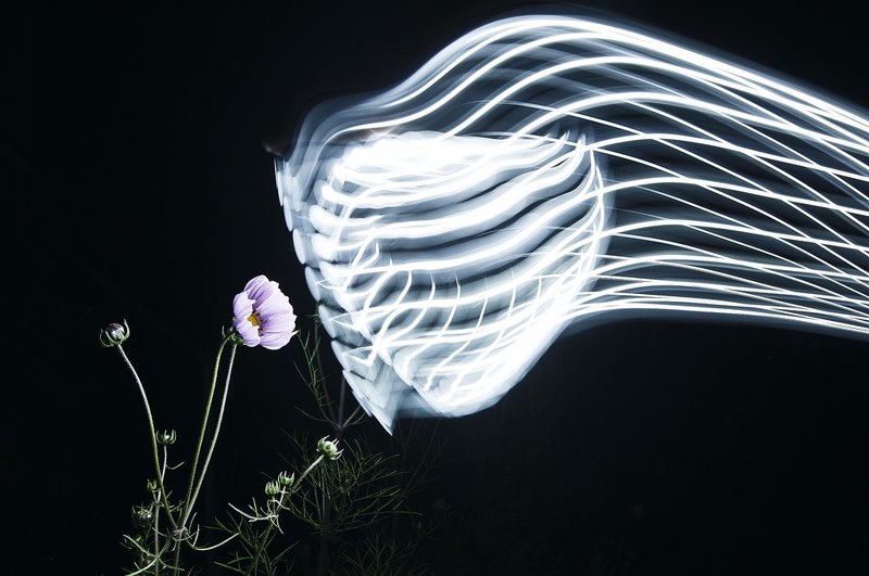 Last message from Voyager фото превью