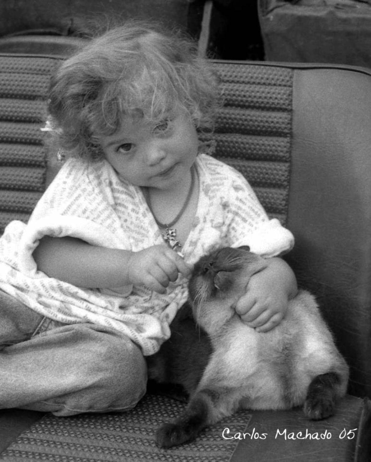 Black & white, portrait, animals, urban, , Carlos Machado