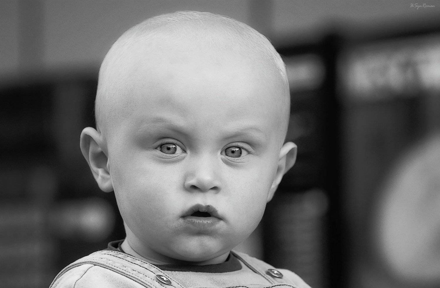 , Роман Красов