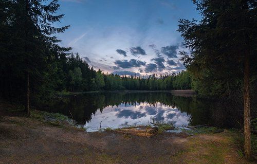 Лесное озеро в Лобненском лесопарке.