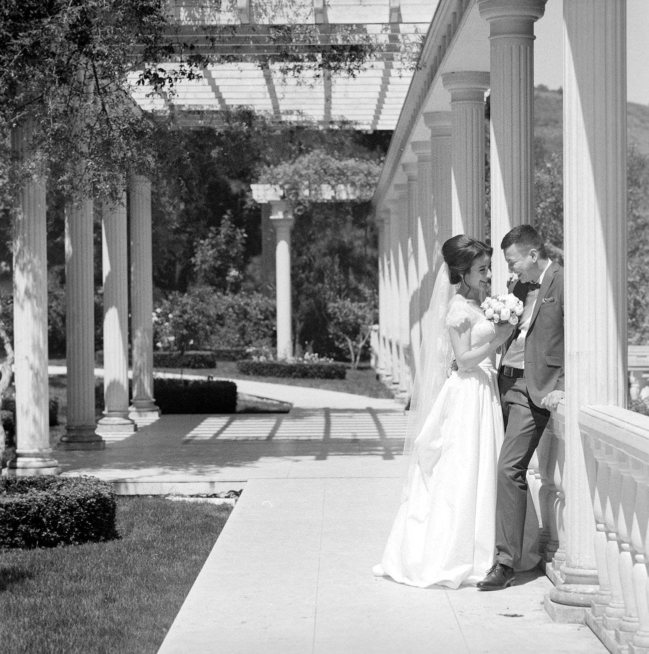 , Франгони Владимир