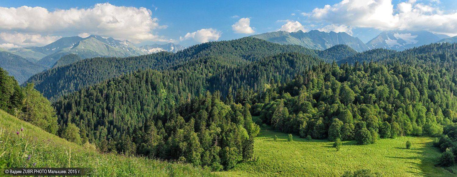 Zubrphoto, Горы, Заповедник, Кавказ, Лес, Лето, Панорама, Пейзаж, Вадим ZUBR Малышев