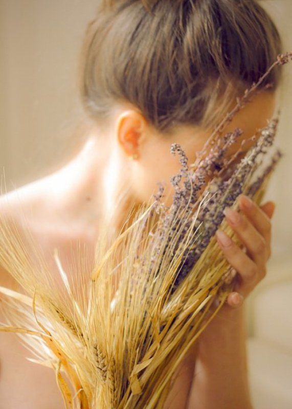 chiru-maga  Spic de grau фото превью