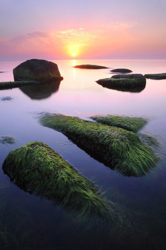 *** фото превью