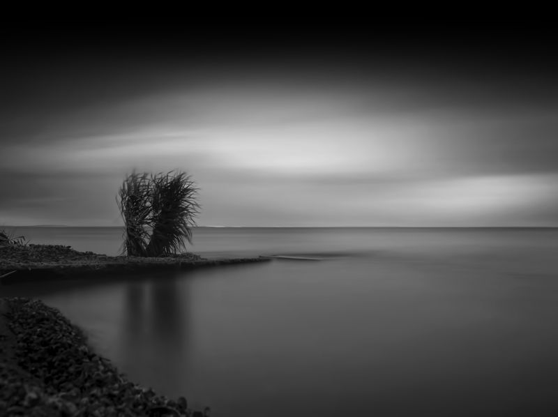 dance in the wind фото превью