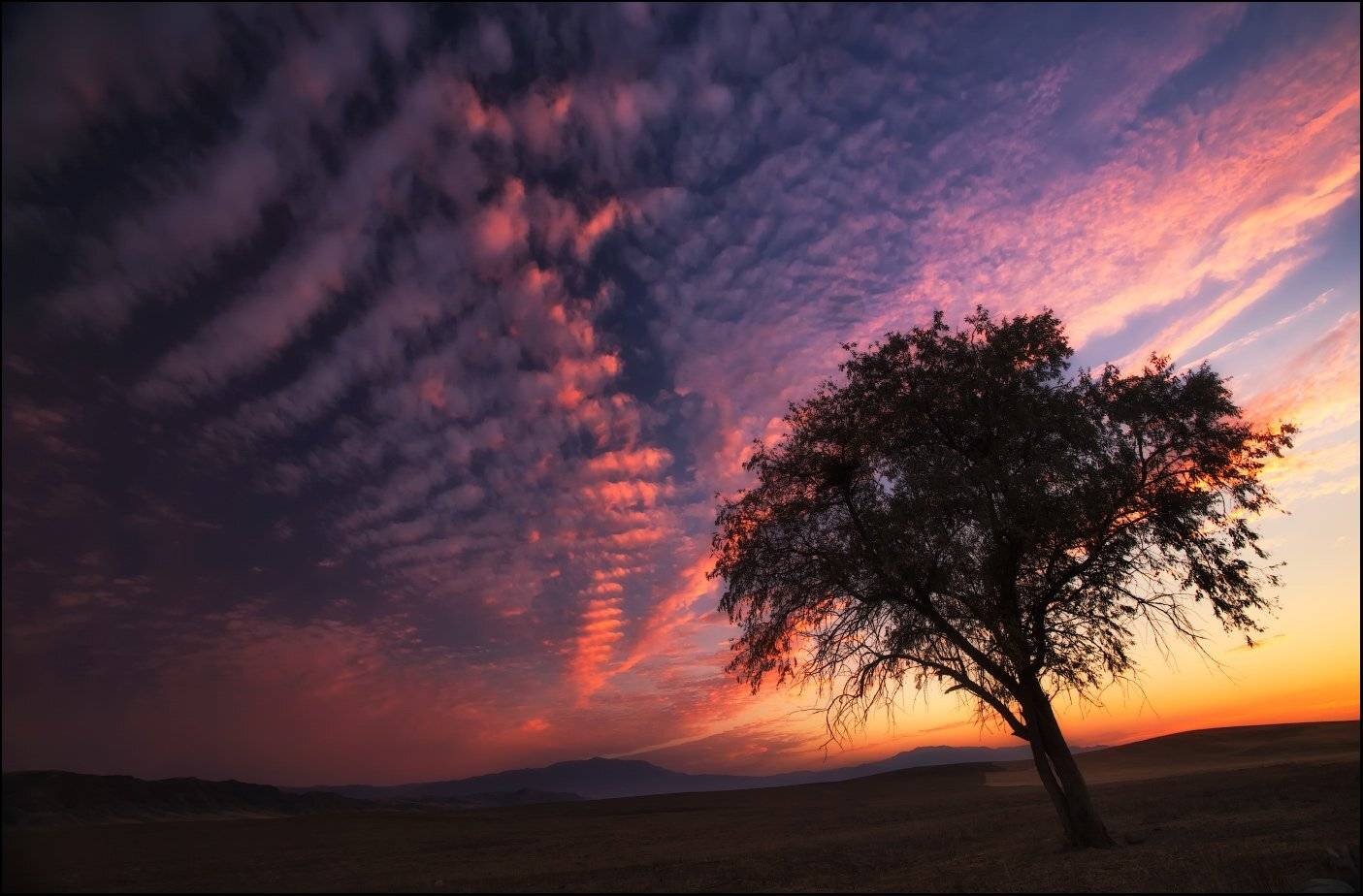 , Ольга Кулакова