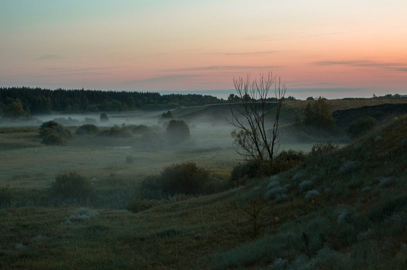 , Александр Бредихин