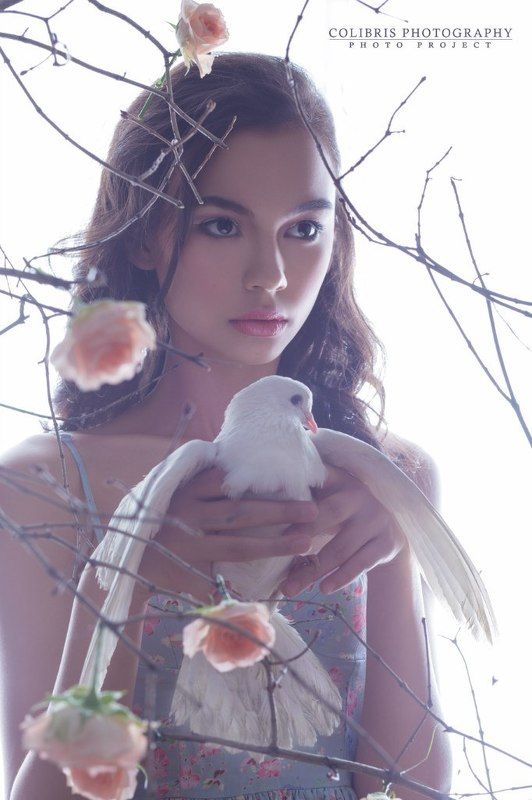 dove Dove фото превью