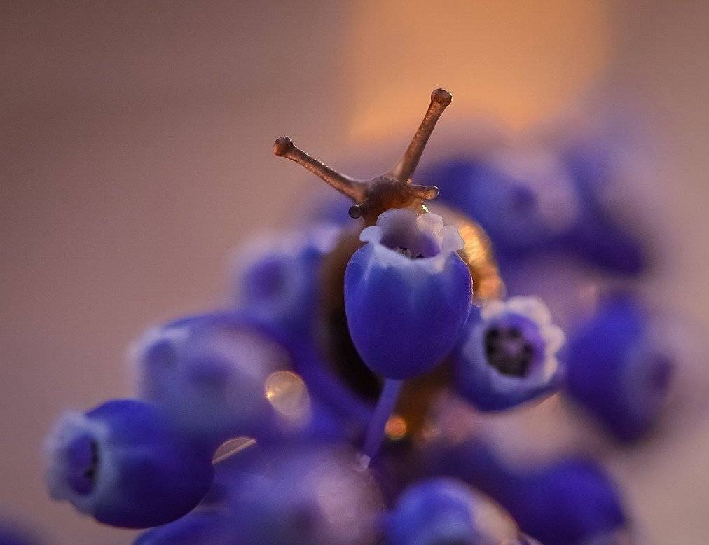 , Вячеслав Мищенко