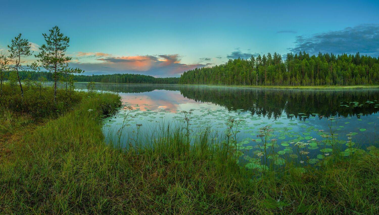 , Олег Авдеев