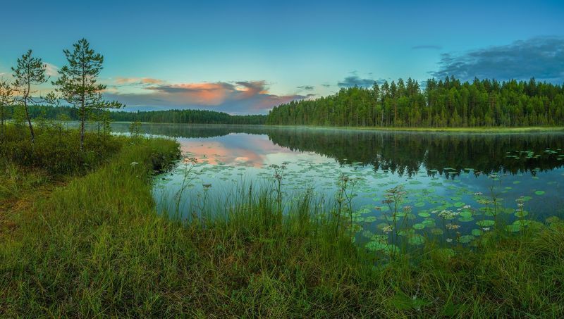 *** фото превью