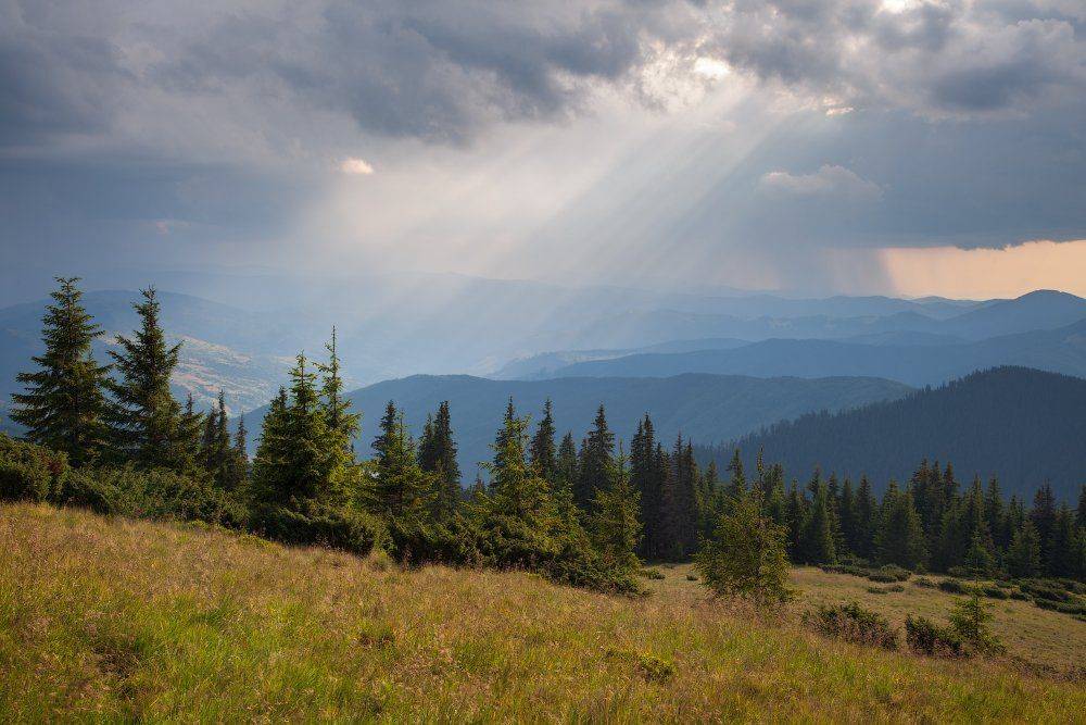 , Ярослав Тюрменко (Jaremi)