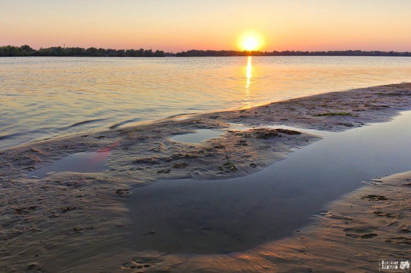 Доманя... фото превью