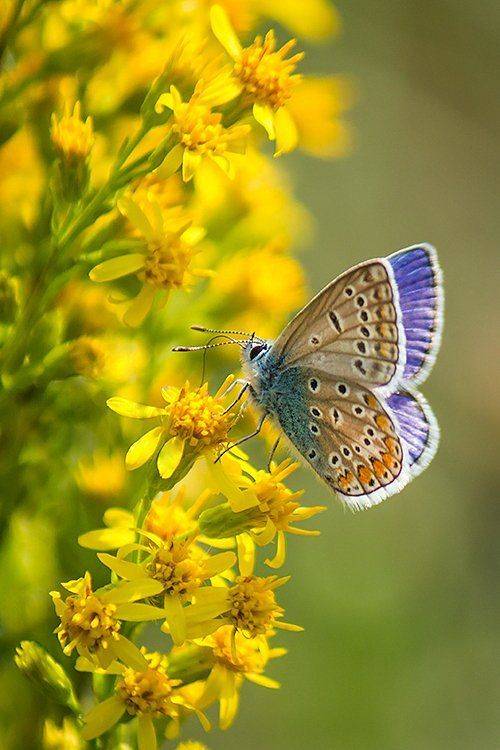 , Pawel Plucinski
