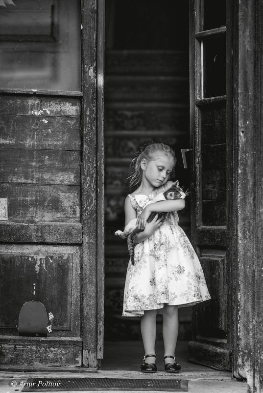Cat фото превью