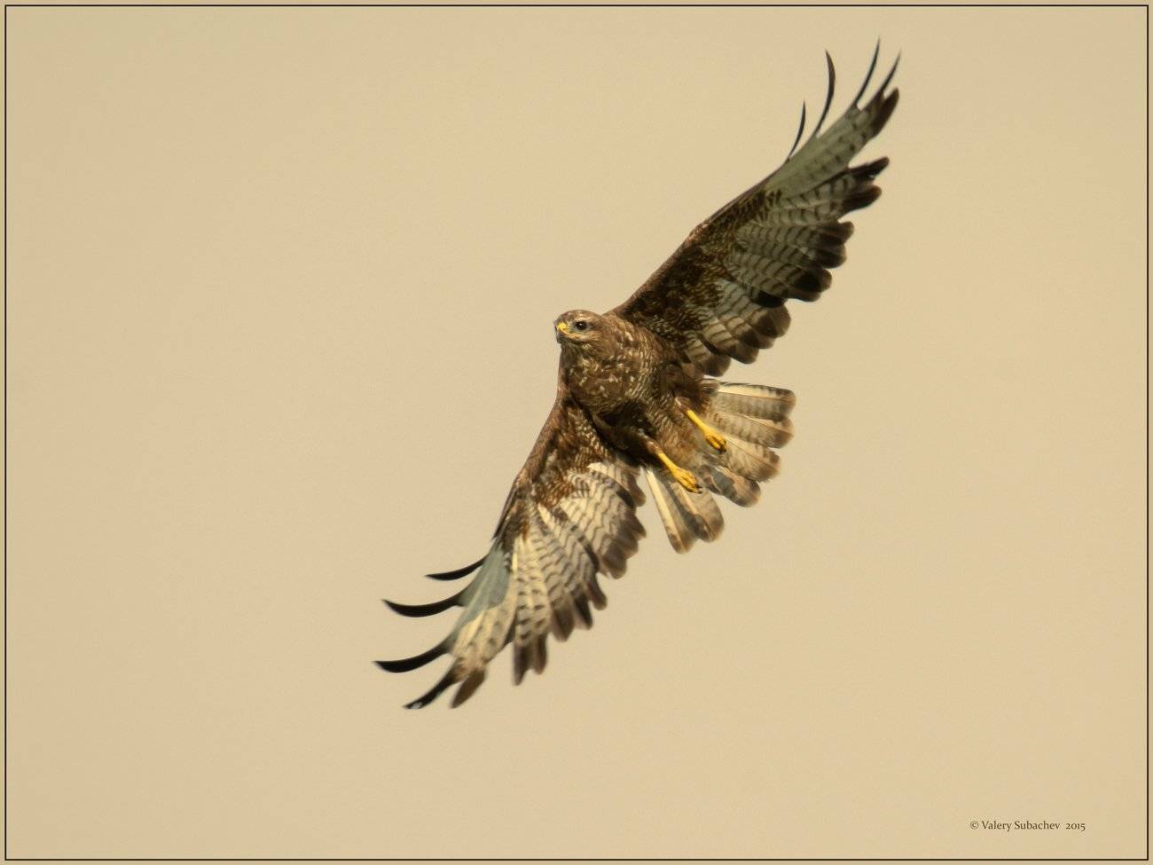 , Валерий Субачев