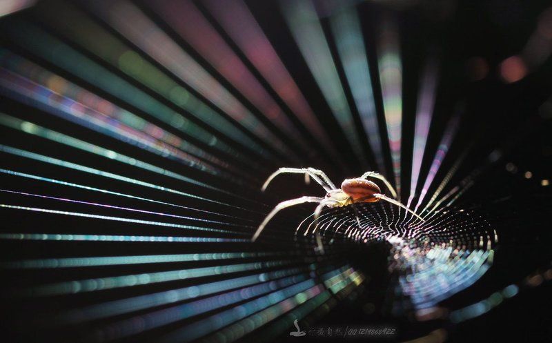 этап фото превью