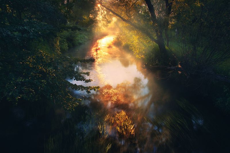 Приближающийся рассвет фото превью