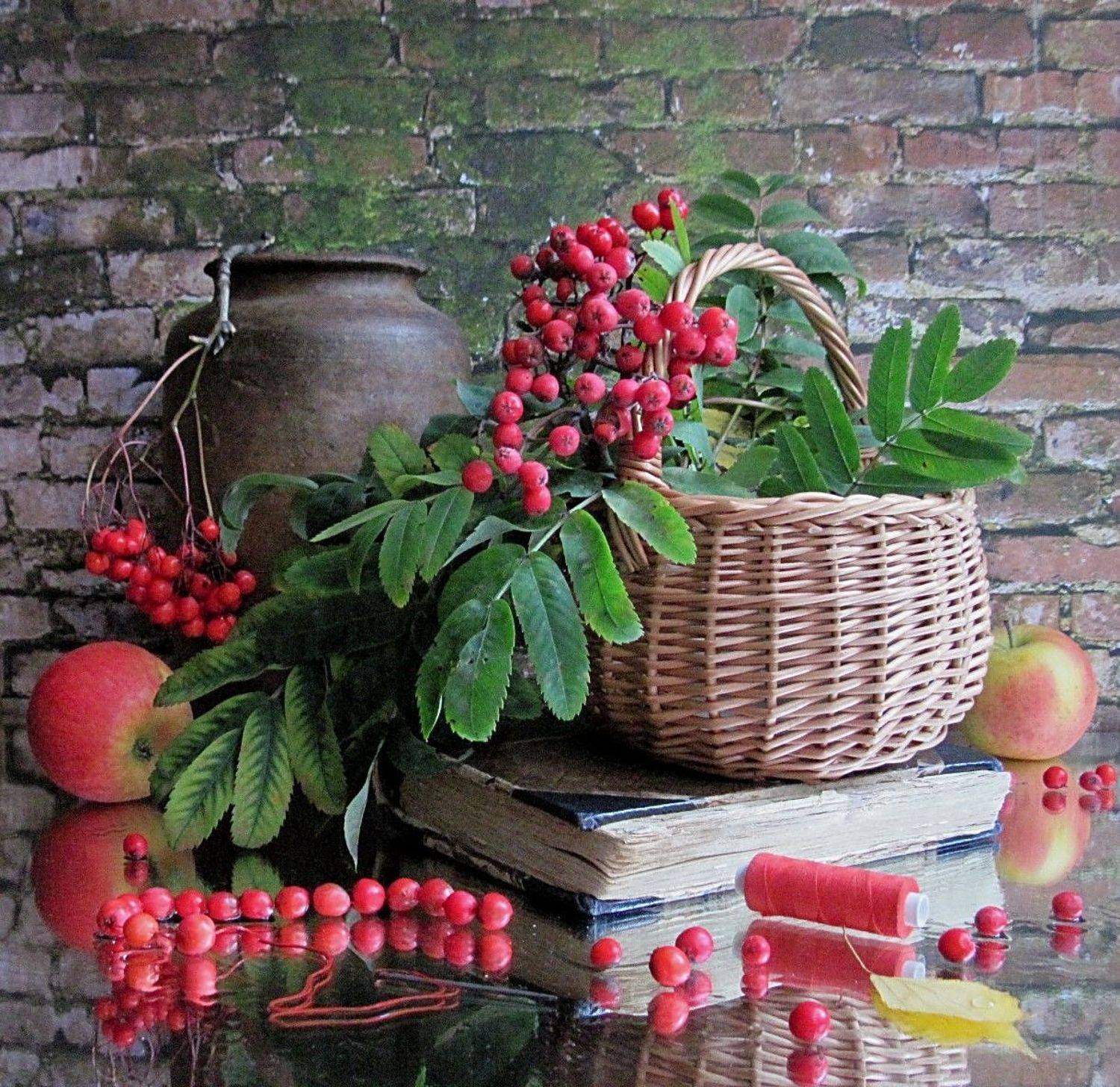 ветки, рябина, яблоки, корзина, ваза, книга, нитки, иголка, рябиновые бусы, Наталия Тихомирова