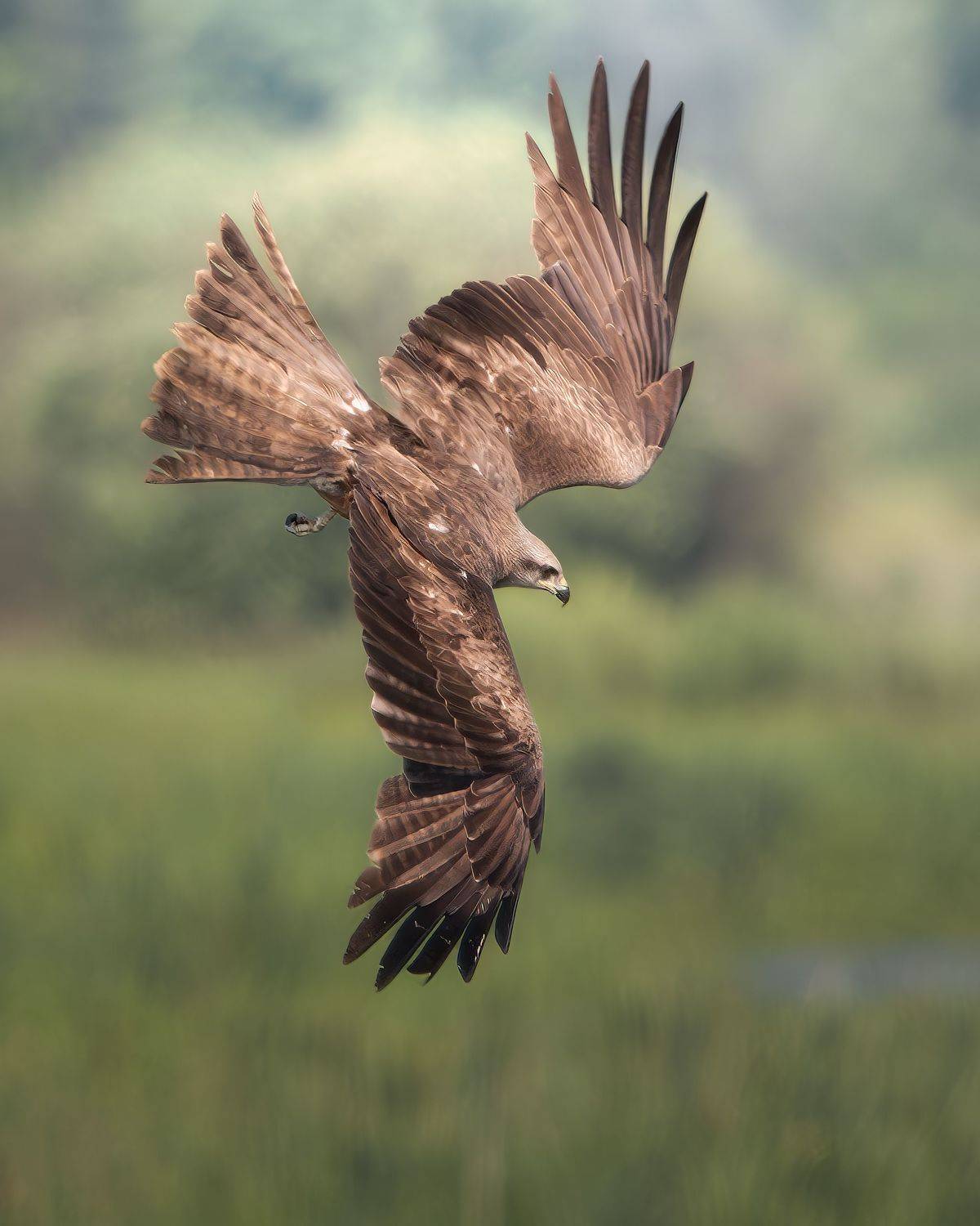 , Поляков Михаил