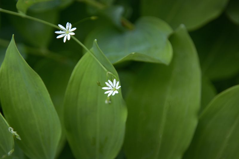 Двое в океане жизни фото превью