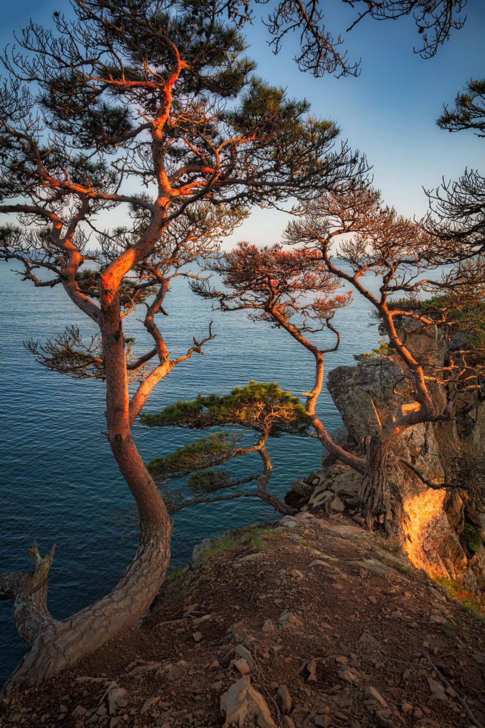 , Евгений Ерохин