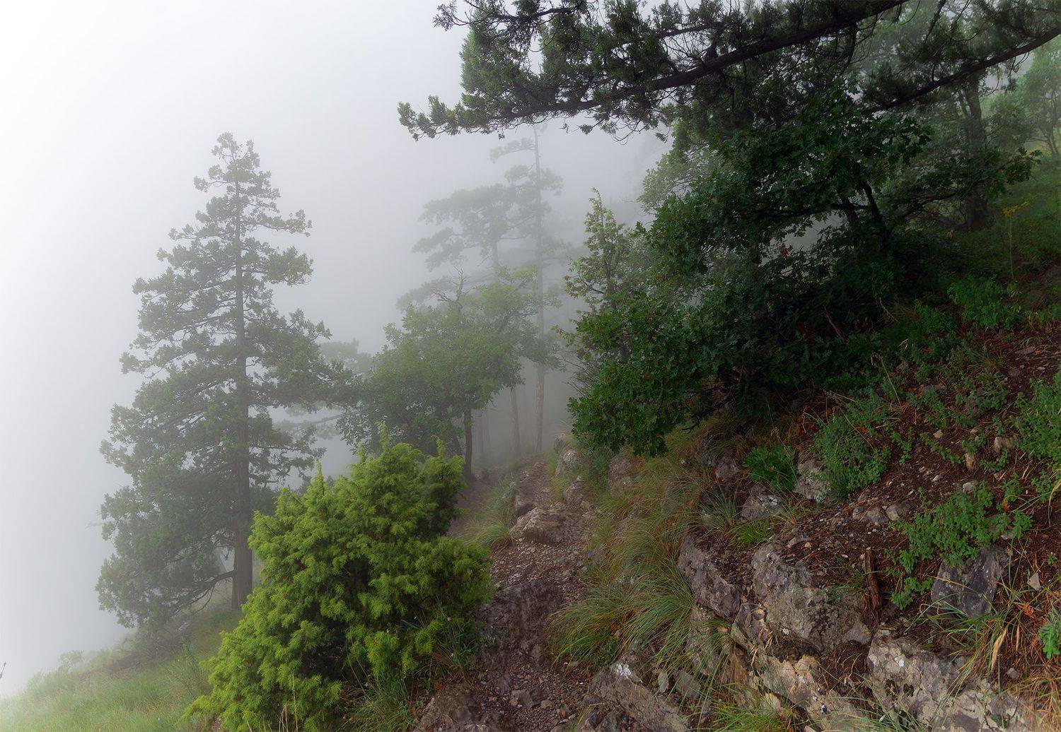 , Вадим Качанов