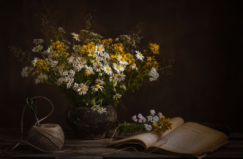 Аптечный натюрморт фото превью