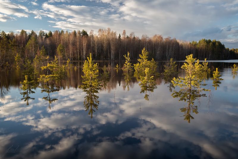 Разлив оз. Евченъярви фото превью