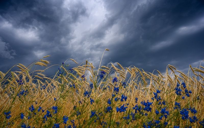 *** фото превью