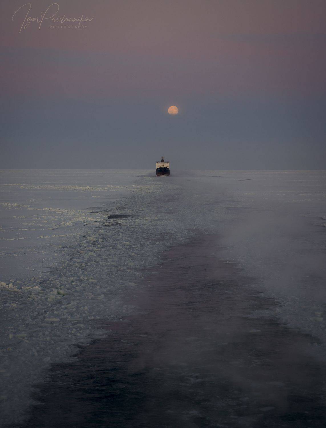 , Игорь Приданников