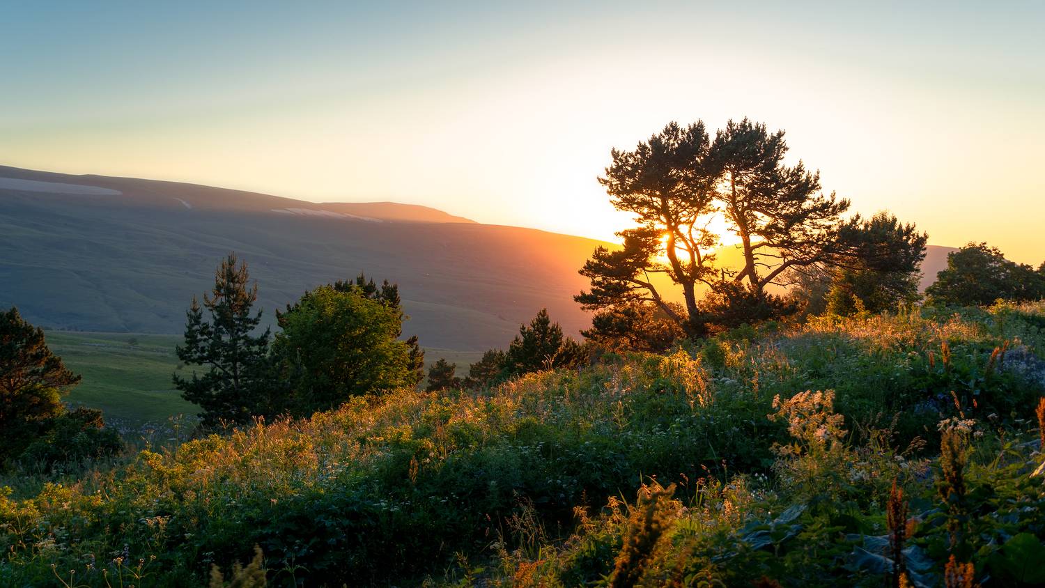 , Вадим Коваленко