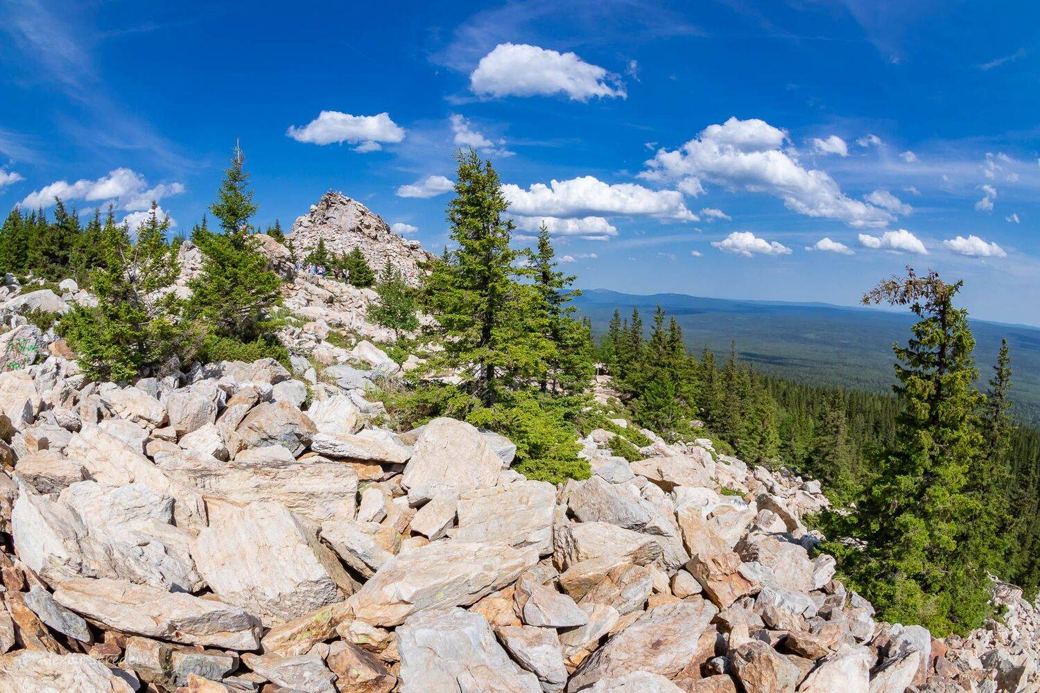 , Алексей Середенин
