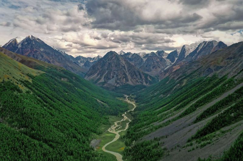 Зелёнка фото превью