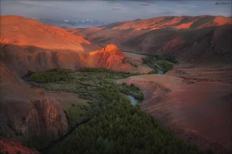 алтай, горный алтай, кош-агач, урочище кокоря, река кызылшин, юстыд, юстыт, фототуры по россии, летний фототур на алтай, осенний фототур на алтай, фототур в монголию Доминанта фото превью