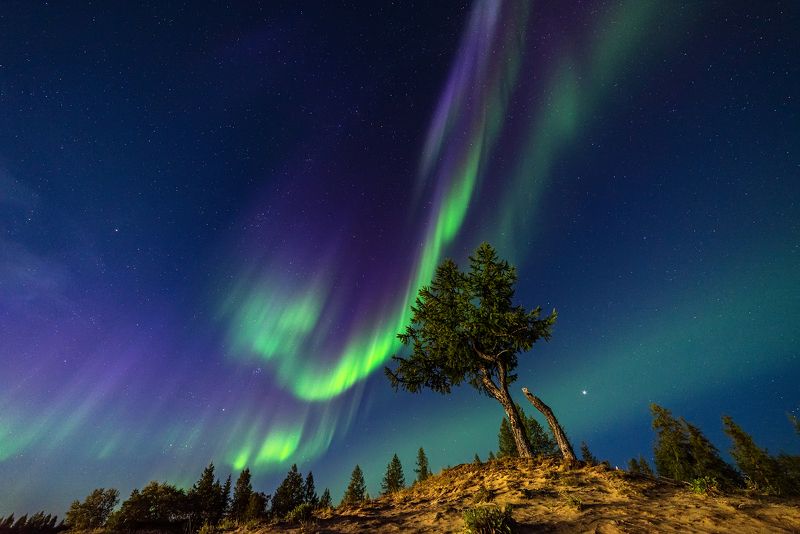 северное сияние, полярное сияние, aurora brealis Августовское сияние фото превью