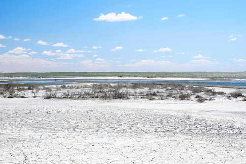 Salt land