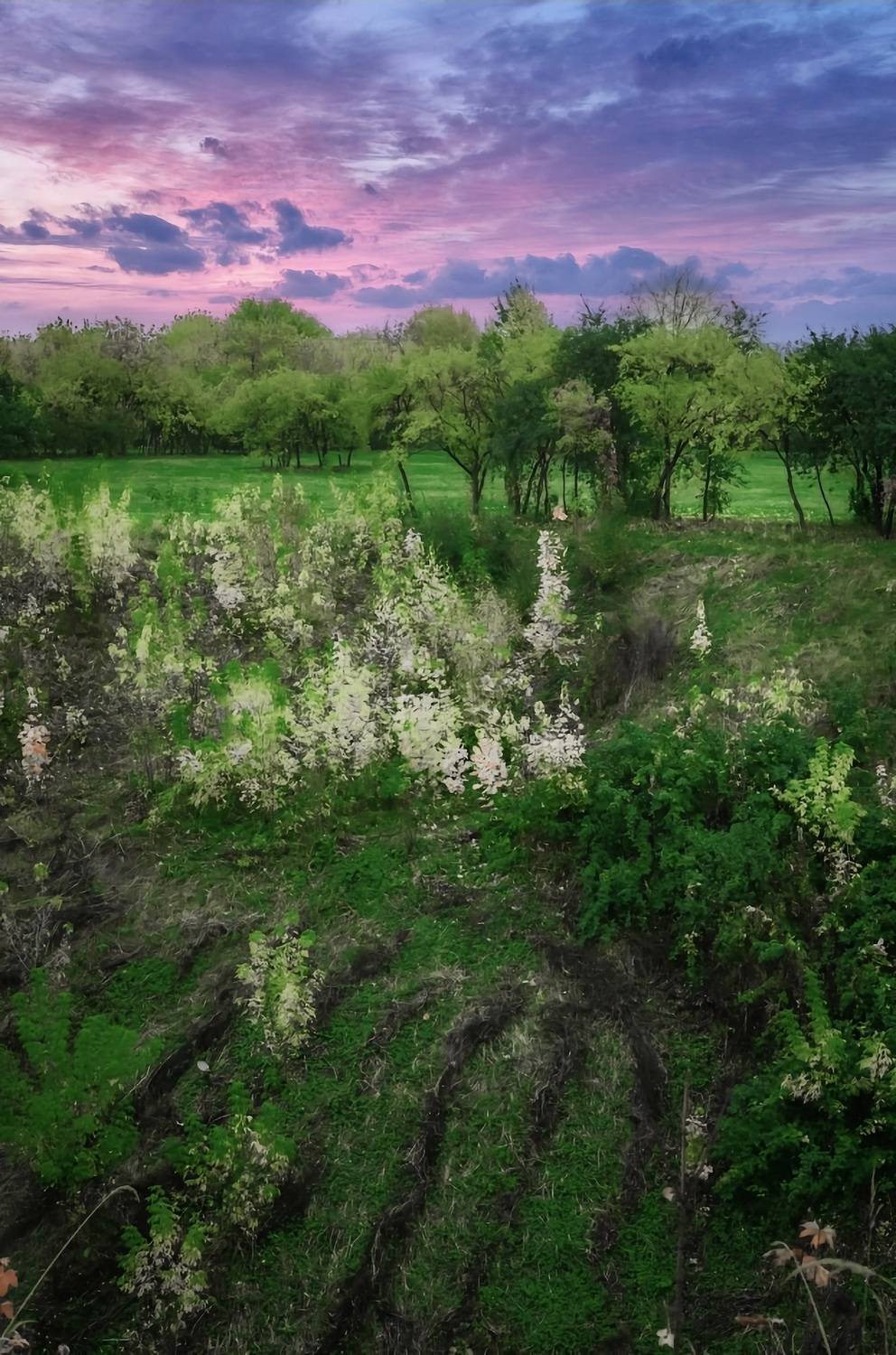 пейзаж, landscape, nature, природа, лето, summer, sunset, закат, гора, Julia Kaissa