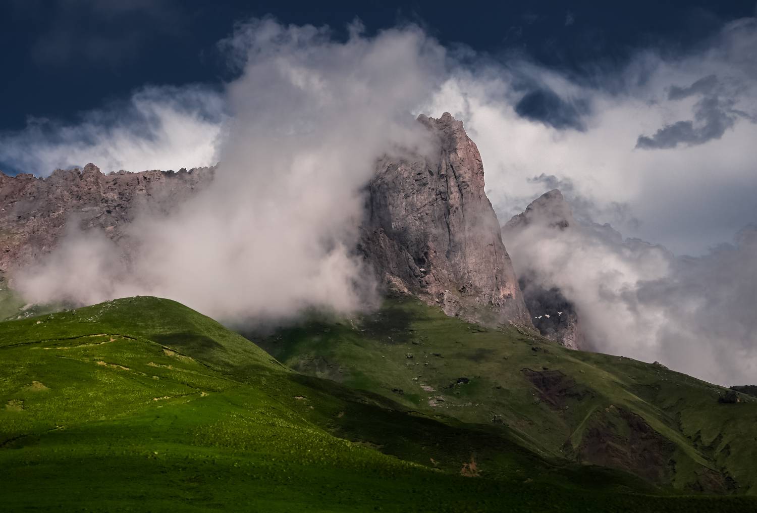 , Tatiana Meshcheryakova