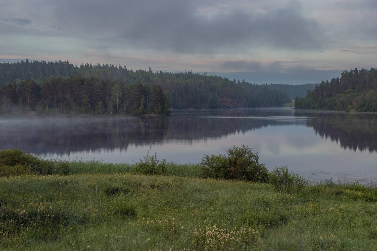 вечер, туман, сырость, тишина, озеро, луг, облака, Светлана Холодняк