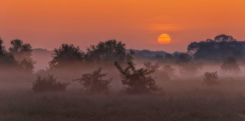 Утро с легким туманом фото превью