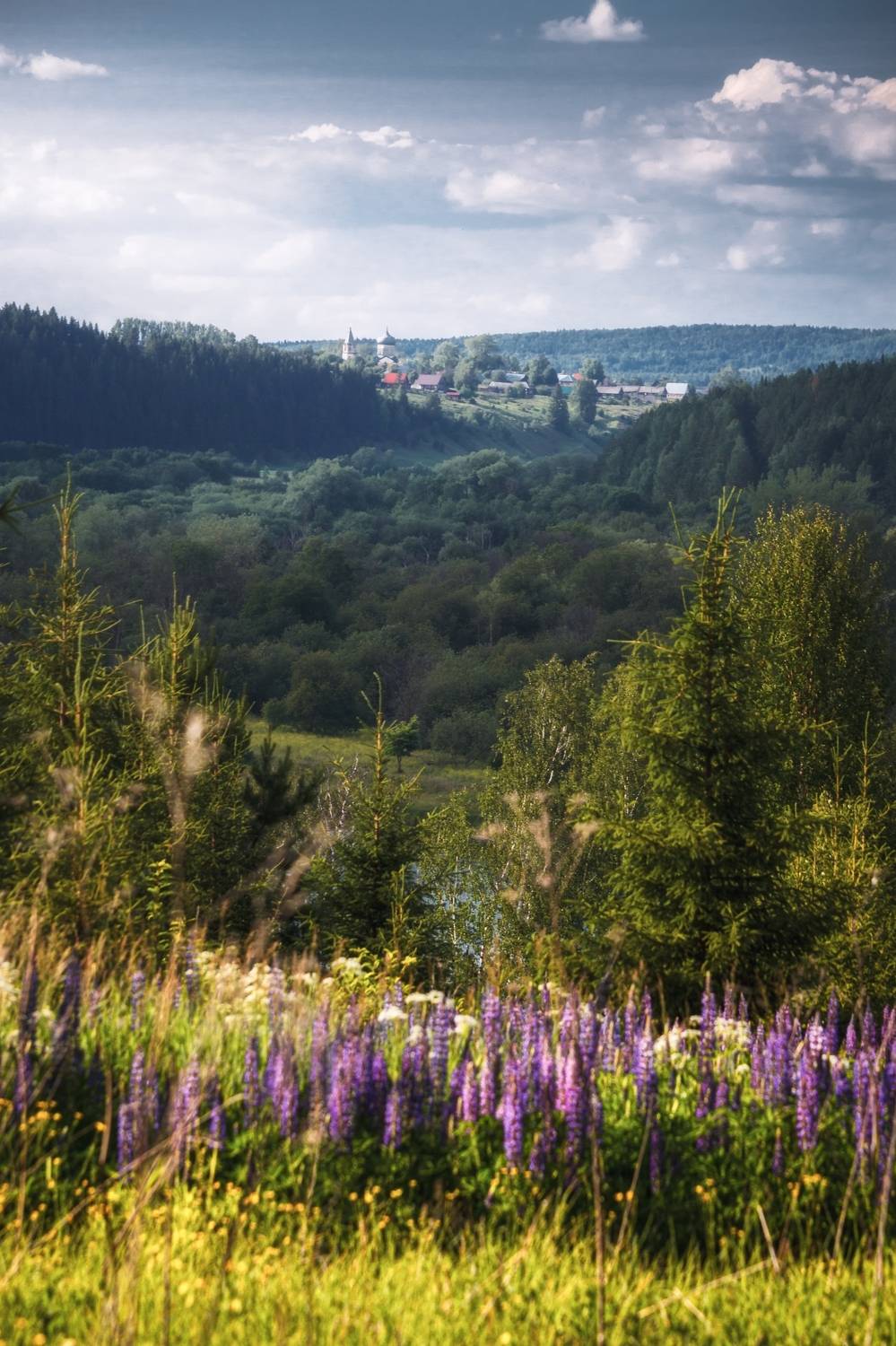 , Котов Андрей